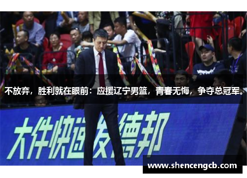 不放弃，胜利就在眼前：应援辽宁男篮，青春无悔，争夺总冠军。